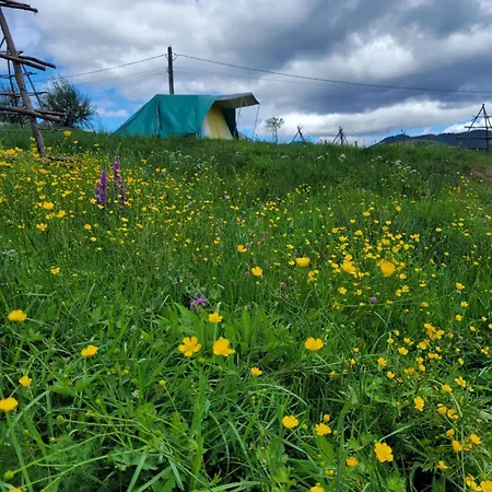 豪华帐篷 Glamping *